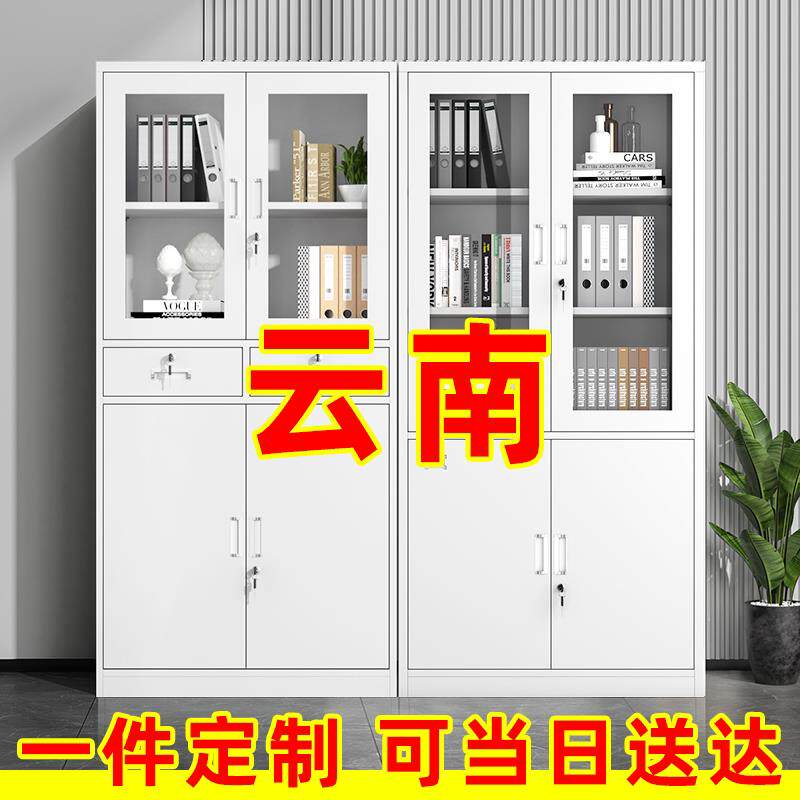 云南钢制文件柜办公室铁皮柜子资料柜档案柜收纳柜矮柜财务凭证柜