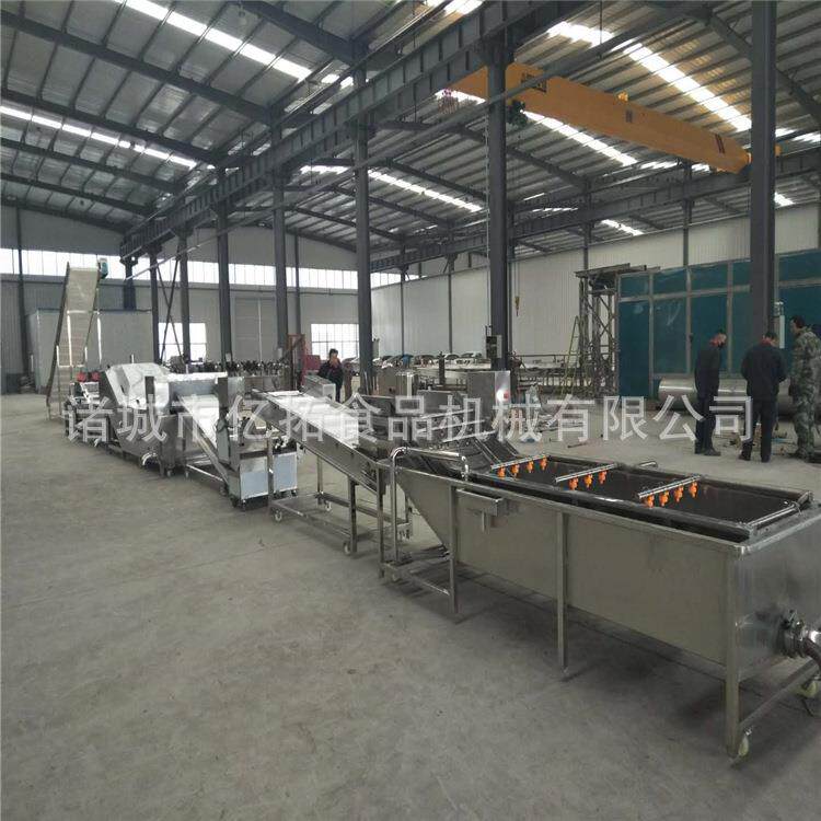 诸城山野菜清洗加工线多功能蔬菜清洗机蒲公英加工流水线运行平稳