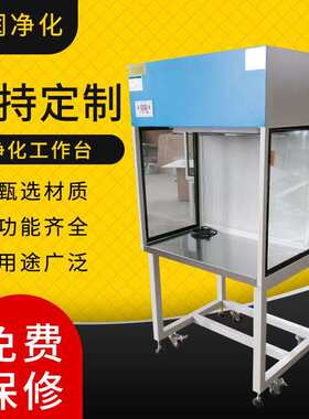 天润超净工作台净化实验室无菌尘双人垂直水平送风操作台厂风机