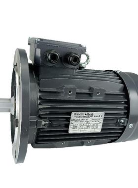 意大利LECTRO EADA三相异步电机2.2kw100LB-4B5可D订其他功率
