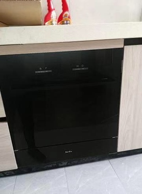 瑞士design Arda洗碗机怎么样?使用两个月感受!震惊大反馈