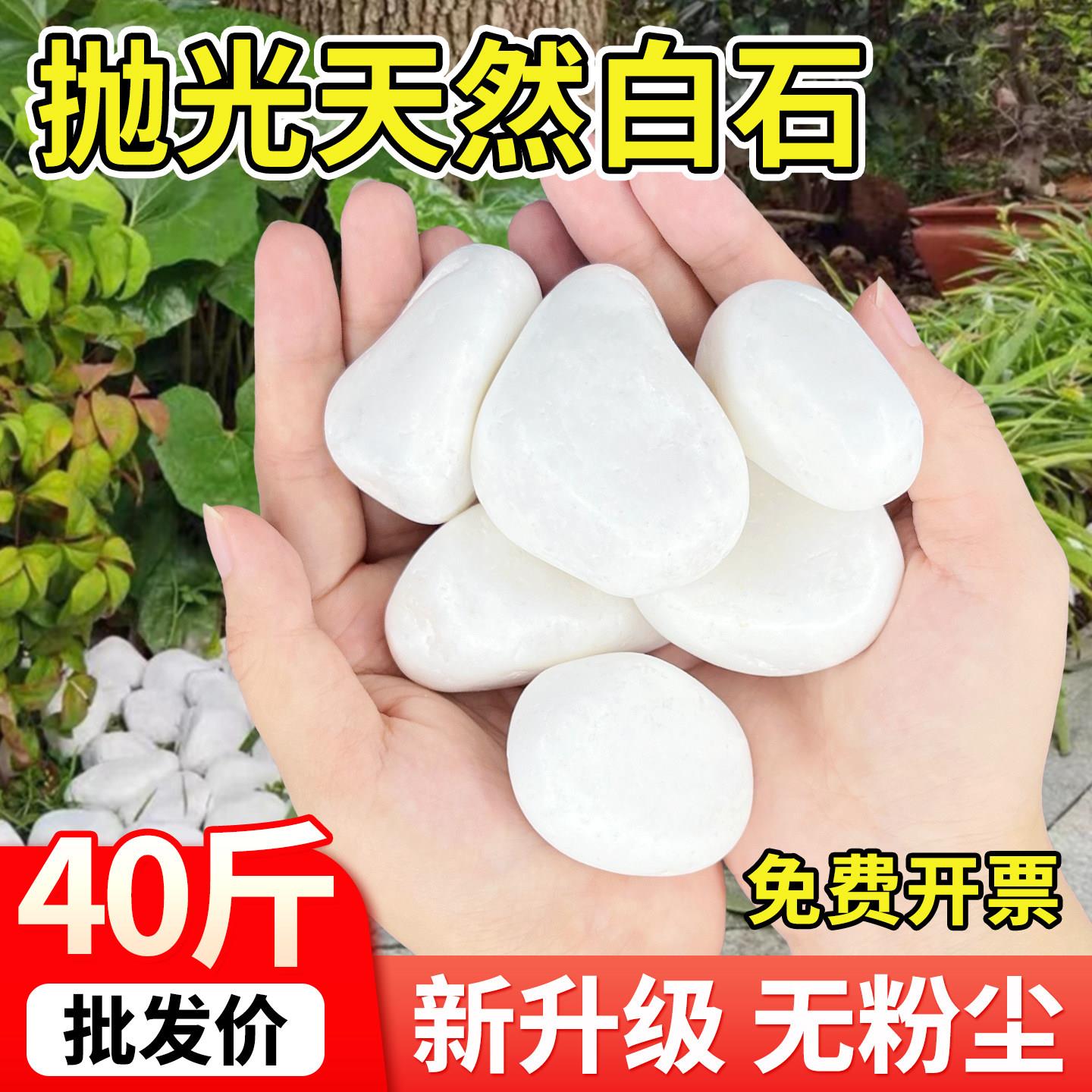 抛光白色石子石头鹅卵石庭院铺路铺地小白石头造景景观打蜡白石子