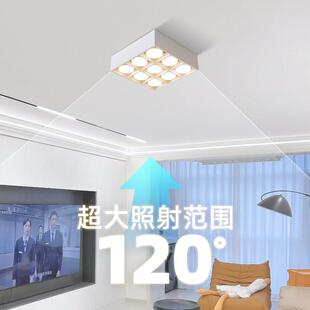 led明装筒灯家用双头六头九头客厅吸顶无主灯极简斗胆灯显色