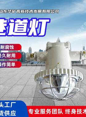 经久耐用巷道灯高亮节能巷道灯DJS32/127L(A)矿用隔爆型LED巷道灯