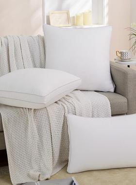 立体枕抱芯靠枕芯4 50 555 003060 65沙发内胆靠垫纯芯色长方形卧