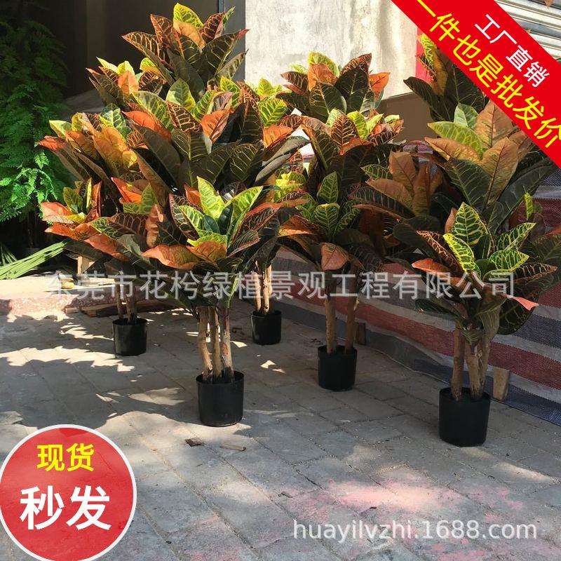 仿真变色木盆栽七星叶植物墙配材七彩叶过胶大变色木叶洒金榕绿植