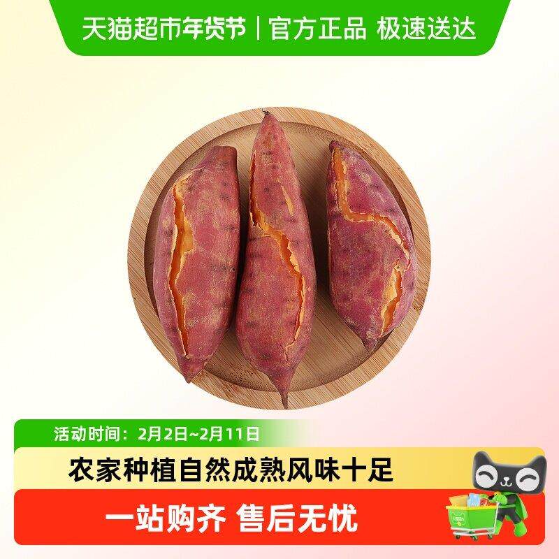 福建漳州六鳌红心蜜薯红薯地瓜粉糯香甜