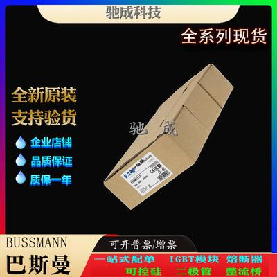 巴斯曼170M5117 170M5118 170M5119 现货供应批零兼营 低压保险丝