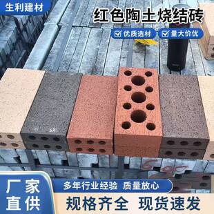 现货红色陶土烧结砖空心多孔砖生态景观园林彩砖混凝土红砖厂家