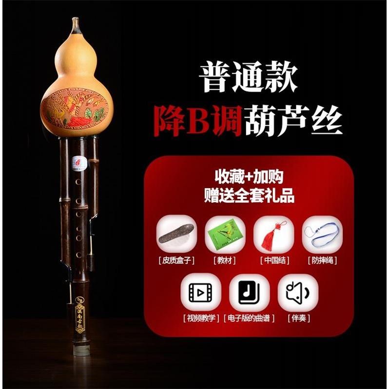高档滇南古韵学校款 葫芦初学c调降b调调gf调丝小d调者儿童云南乐