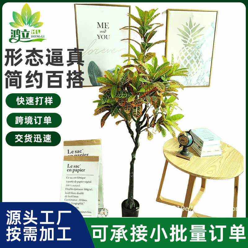 定制人造仿真木洒植物变色木装饰金植绿变色盆栽办公室落地榕家居,鲜花速递/花卉仿真/绿植园艺,仿真绿植,淘宝优惠券,粉丝福利购,淘宝优惠卷