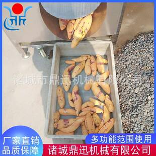 土豆清洗机芋头毛辊清洗机鼎迅莲藕清洗机脱皮机