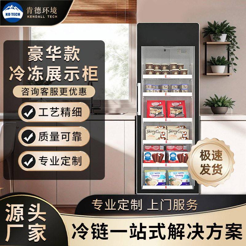 立式冷冻展示柜商用冰柜榴莲蛋糕速冻冰箱超市牛羊肉冰淇淋冷冻柜