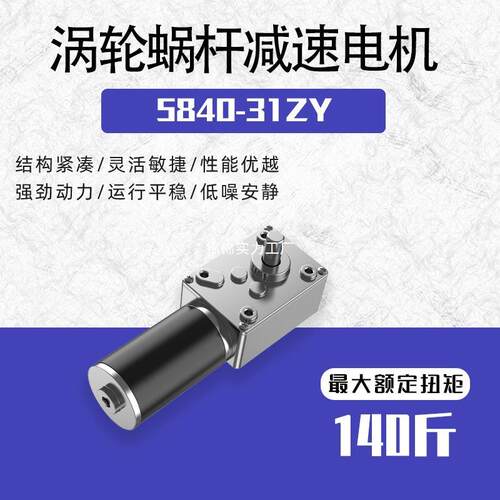 5840-31ZY直流减速电机涡轮蜗杆可调速大扭力微型电动机12V24V