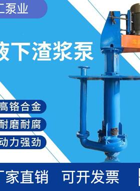 液下渣浆泵65QV泥浆泵抽沙泵耐磨尾矿池吸沙泵矿浆输送污泥泵