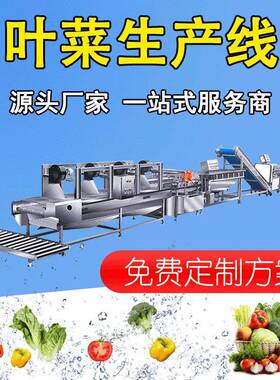 蔬菜清洗流水线 白菜生菜叶菜类加工生产线 预制菜前处理方案