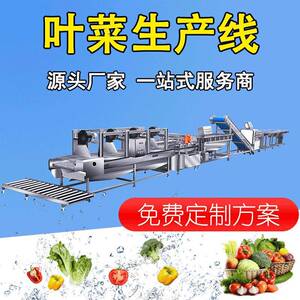 蔬菜清洗流水线 白菜生菜叶菜类加工生产线 预制菜前处理方案