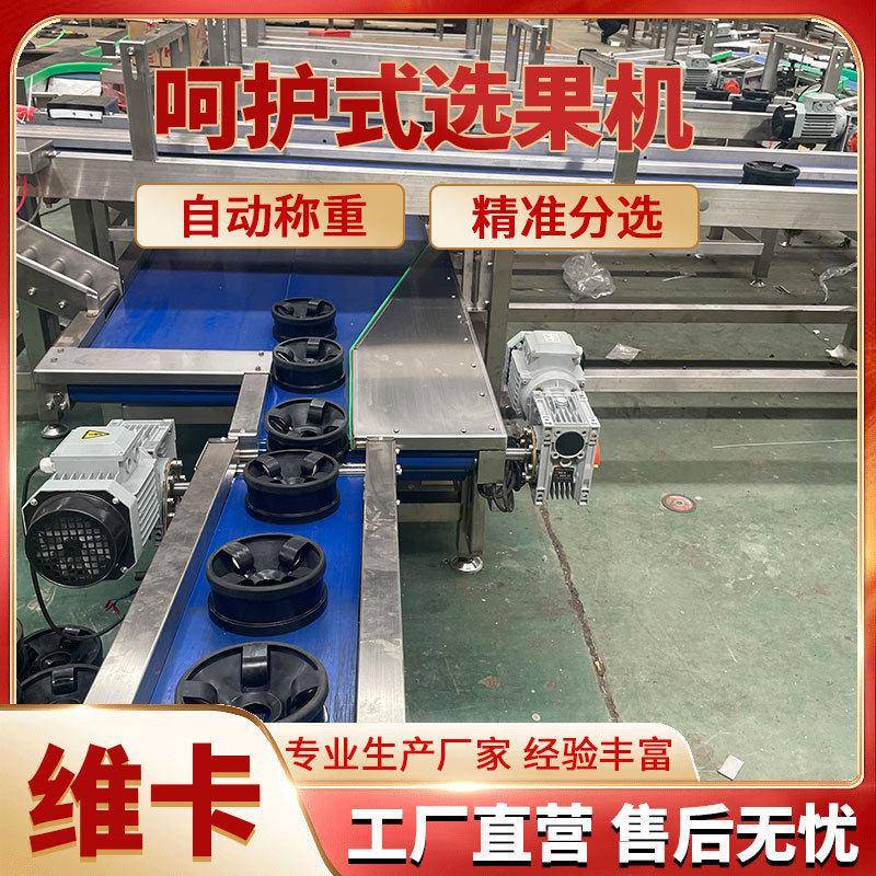 西瓜草莓无损称重分选机零损伤不伤果秋月梨皇冠梨重量分级机