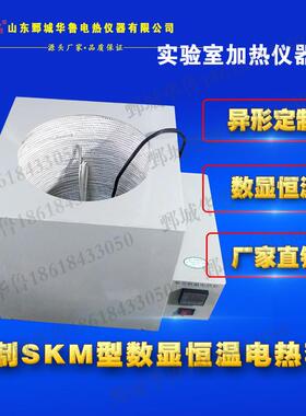 电热套平底异形圆桶反应釜SKM型数显恒温实验室1到20L