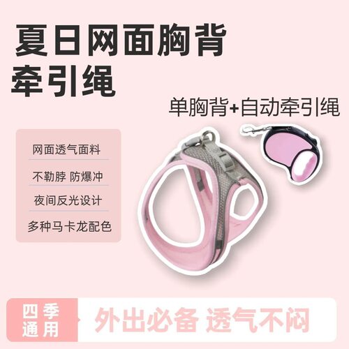 猫咪牵引绳防挣脱遛猫绳子背心式胸背带外出专用不勒脖透气反光