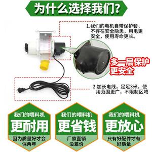 鸡鸭鹅信鸽子猫狗兔子鱼自动喂食器喂料机投食器用品用具定时定量