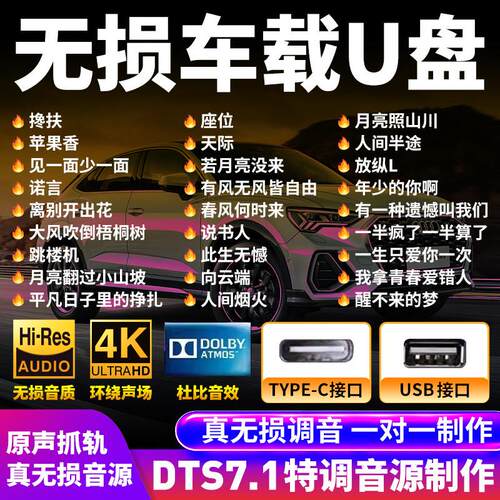 汽车载随身碟歌曲2026新款抖音流行无失真音乐柏林之声dj网红音乐