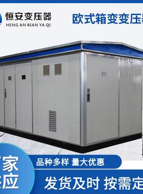 预装式变电站箱变欧式户外箱式变压器高压成套电器变压器厂家