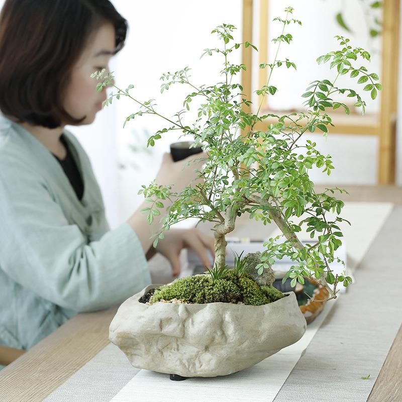 粗陶仿石头陶瓷花盆中式粗陶水培碗莲睡莲铜钱草花盆大号家用