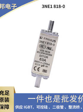 厂家直销3NA3132-2C 3NE1820-0 3NE1021-0高压熔断器保险丝工业工
