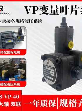 VP-20-FA3机床叶片vp泵VP08/12/15/20/30/40可变量油泵叶片泵
