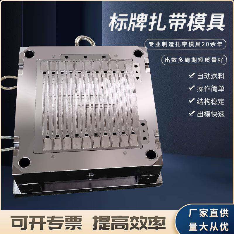 厂家供应汽车扎带模具各种异形扎带模具尼龙扎带模具标牌扎带模具