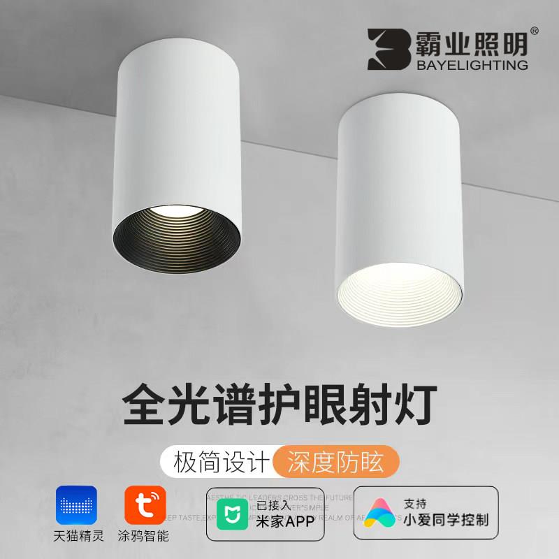 明装射灯小山丘智能防眩家用商用店铺工程免钻孔吸顶明装筒灯
