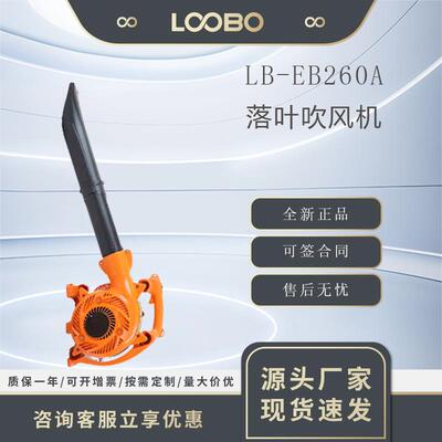 轻便型吹尘土吹雪机风力灭火机手提式落叶吹风机LB-EBV260