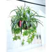 彷真绿植吊兰植物胶叶客厅阳台装 绿叶植物盆栽 饰垂吊悬挂花篮套装