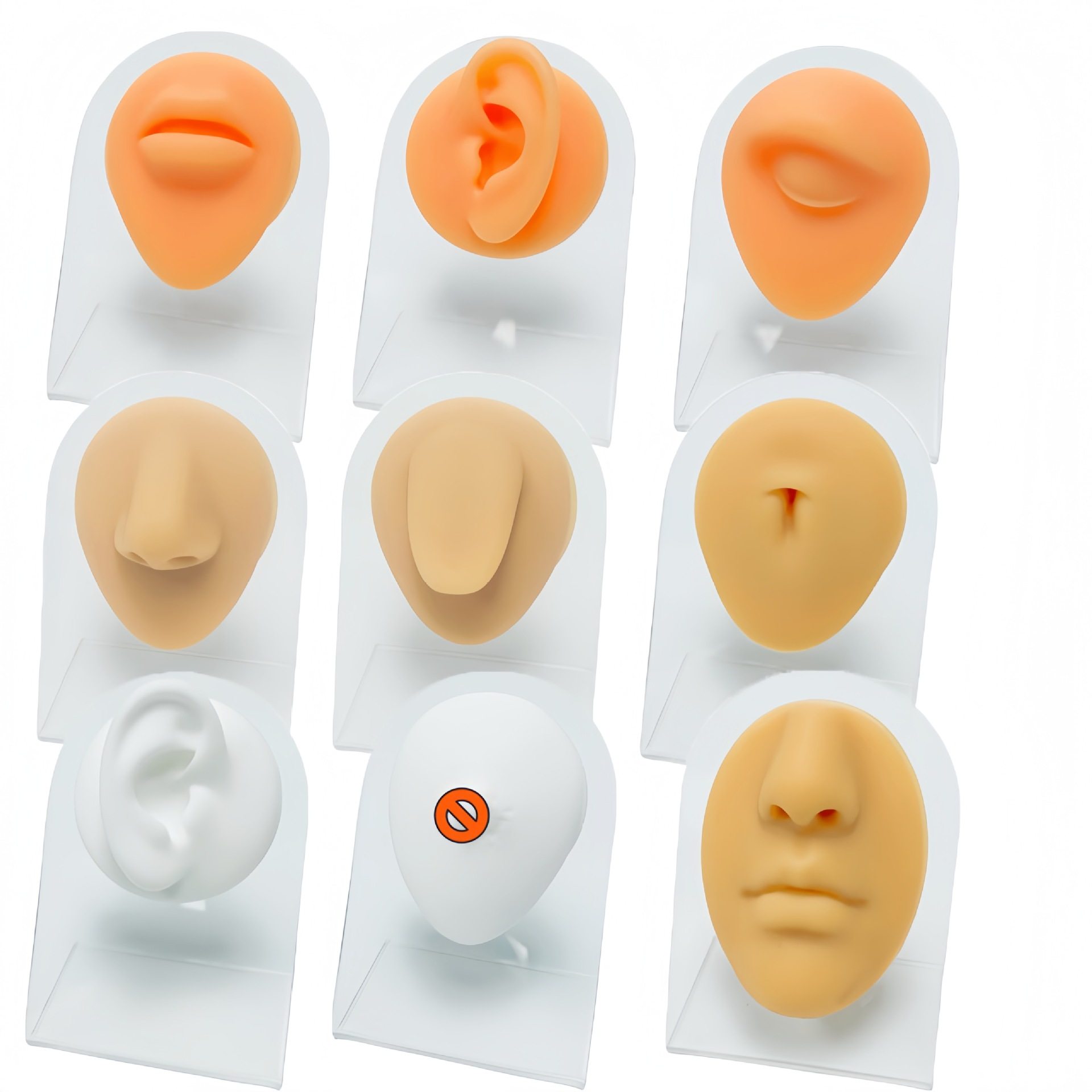 人体硅胶五官模型穿孔练习模型