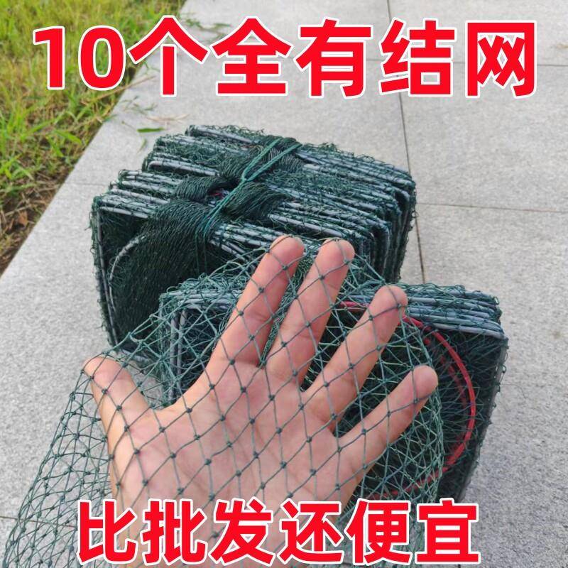 10个有结网)虾笼有结网渔网养殖小龙虾网捕大留小逮龙虾螃蟹网笼