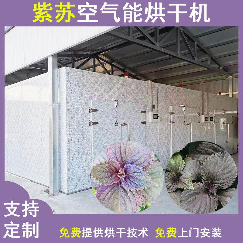 紫苏烘干机全自动紫苏叶脱水干燥机香料赤苏野生紫苏子烘干设备