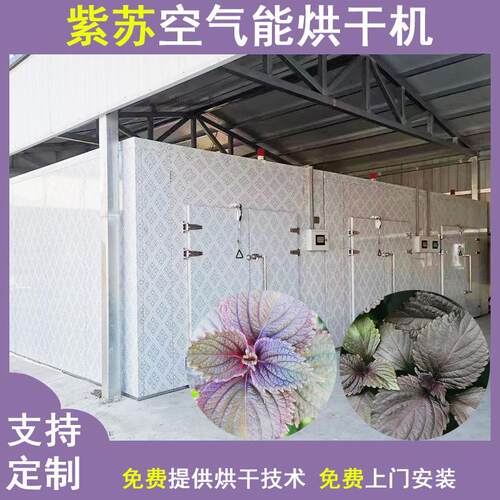 紫苏烘干机全自动紫苏叶脱水干燥机香料赤苏野生紫苏子烘干设备