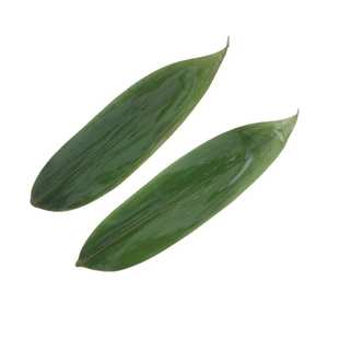 日式寿司料理摆盘竹叶 50枚真空保鲜大粽叶 湖北原叶箬竹叶厂家