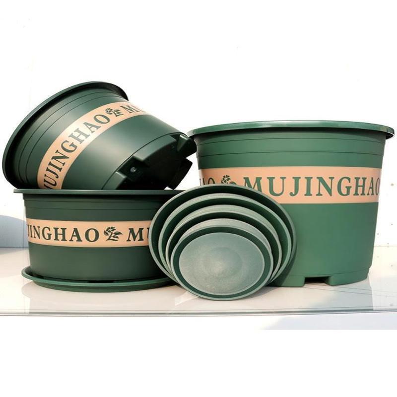 More large flower pot plastic plant trees green plant POTS