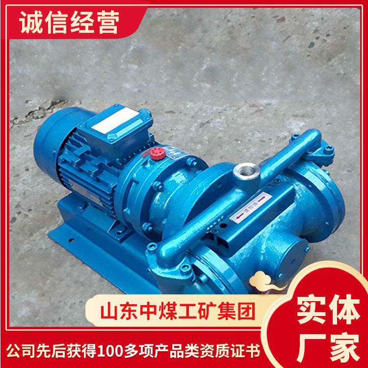 山东详情DBY-25电动隔膜泵电询 中煤现货DBY-25电动隔膜泵