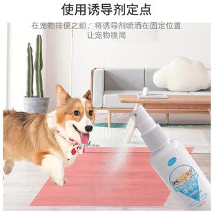 新款直销狗狗厕所诱导剂狗大小便训练上厕所引便便尿尿宠物定点排