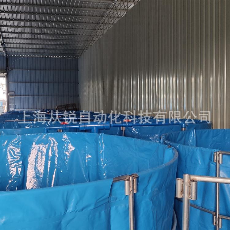 上海从锐200㎡帆布养殖池高密度斑节对虾循环水养殖系统设计