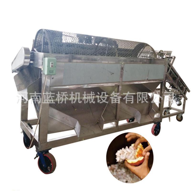 可可豆荚脱皮机可可豆荚筛选机切分机可可豆荚剥壳机切分机