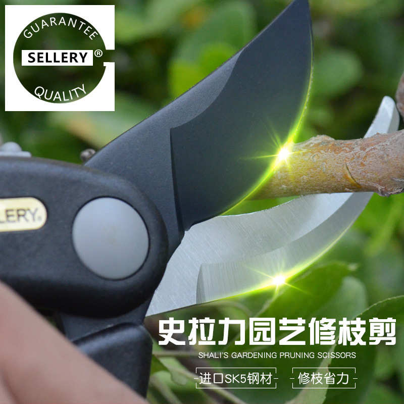 史拉力台湾原产园艺修枝剪树枝盆栽绿植修剪园林造型剪刀园艺工具