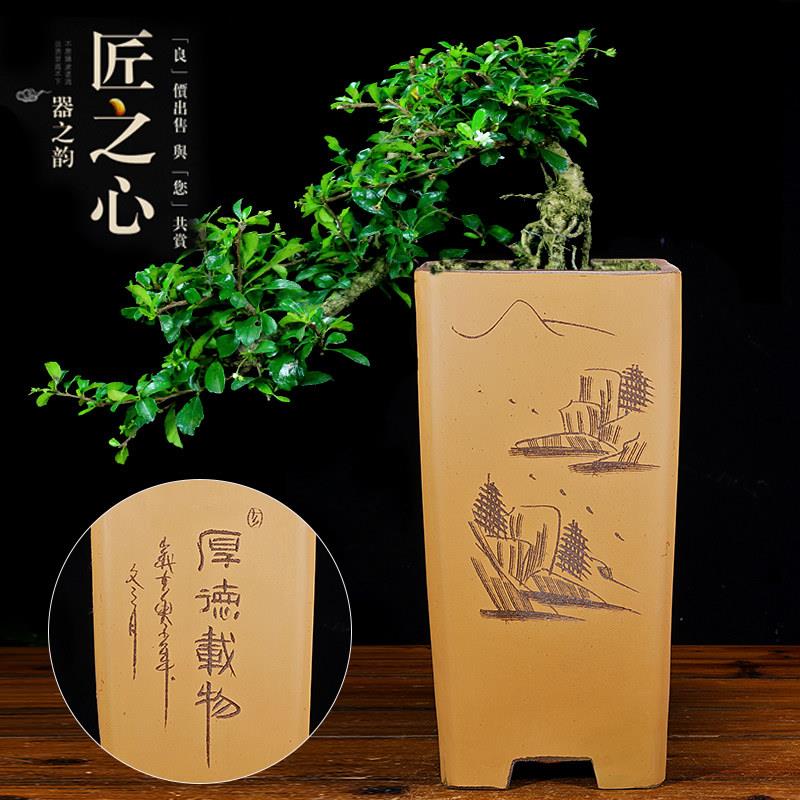 宜兴紫砂花盆大号高筒四方兰花盆特价清仓中国风四边种树陶瓷花盆