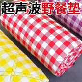 网红野餐垫布户外野炊家用帐篷草坪春游郊游防潮防水便携垫子磊红