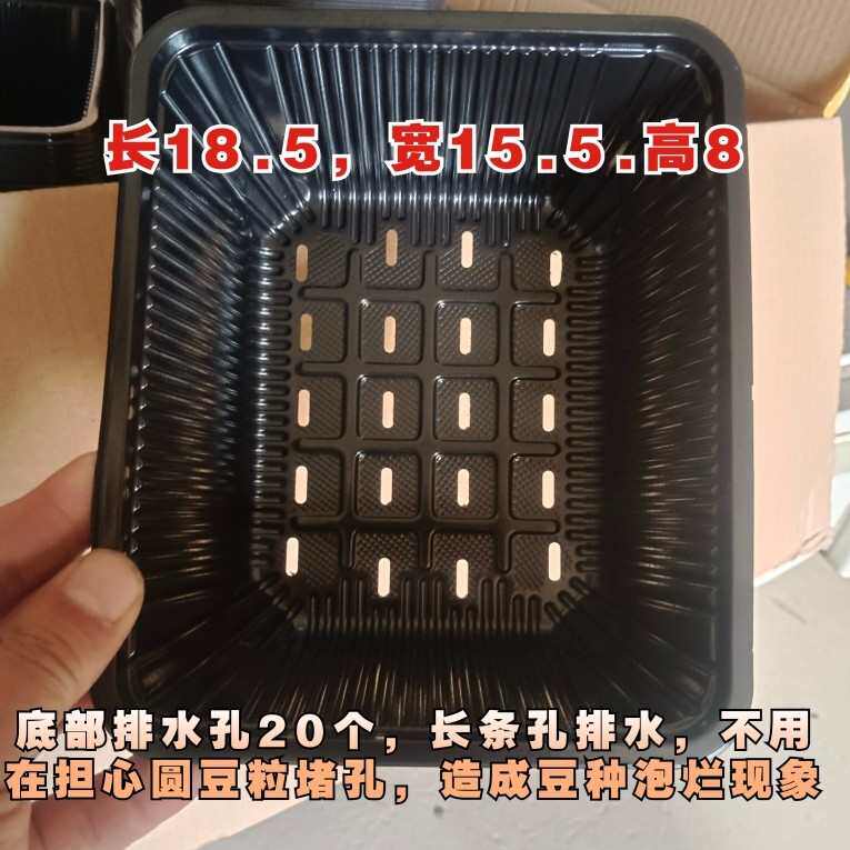盖菜苗育苗豆苗盒种植盘芽黄豆芽一次性打包塑料盒带豌豆苗