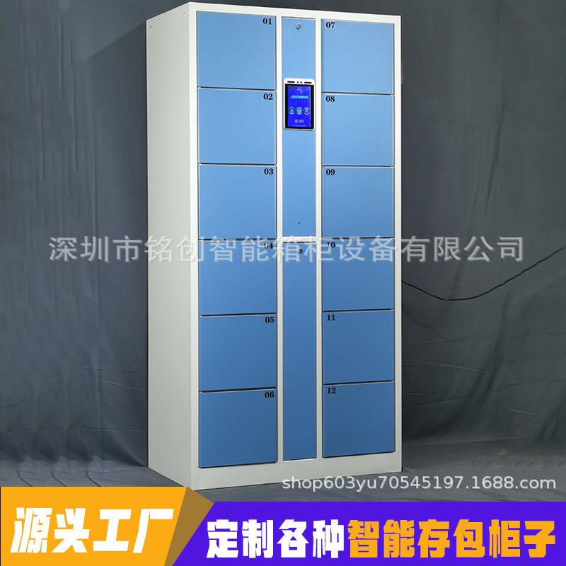12门人脸识别寄存柜超市存包柜商场存储柜手机包包寄存储物柜智能