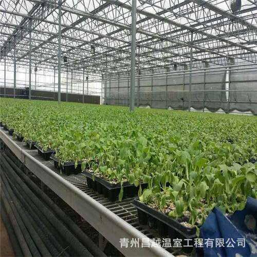 新型无土栽培专业生产玻璃温室大棚热镀锌钢管骨架安装设计方案